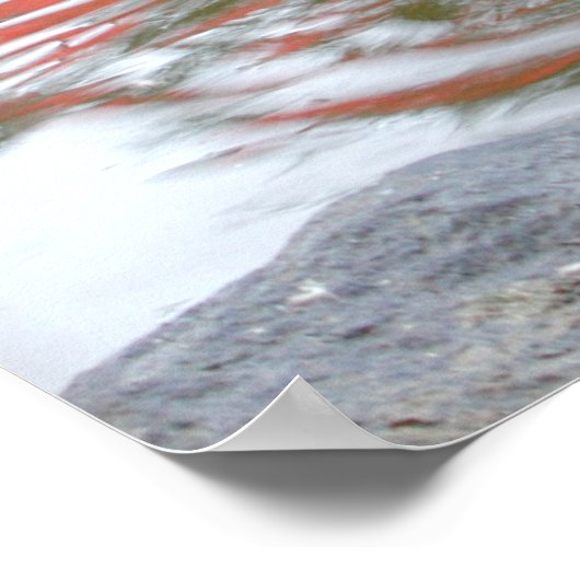 Duck Butt Poster (Hoek)