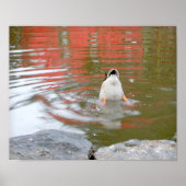Duck Butt Poster (Voorkant)