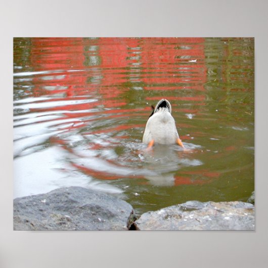 Duck Butt Poster (Voorkant)