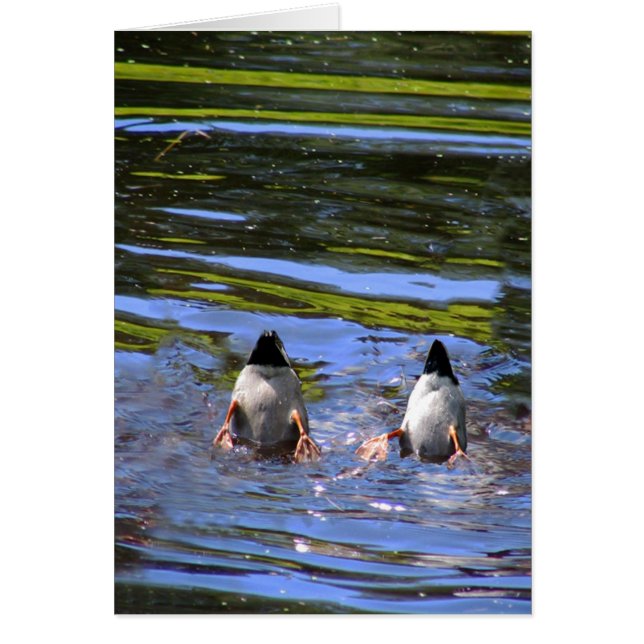 Duck Butts (Voorkant)