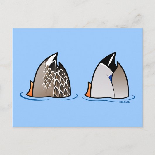 Duck Butts Briefkaart (Voorkant)
