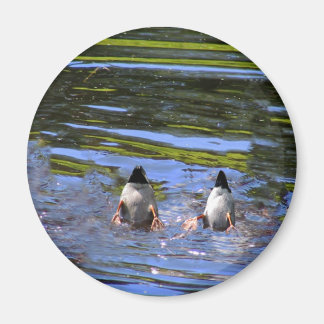 Duck Butts Magneet