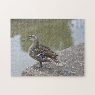 Duck by the Water Bird Natuur Photography Legpuzzel