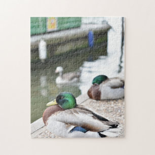 Duck by the Water Bird Natuur Photography Legpuzzel