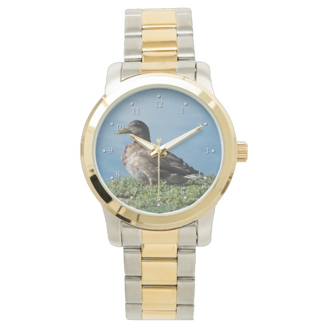 Duck by the Water Watch Horloge (Voorkant)