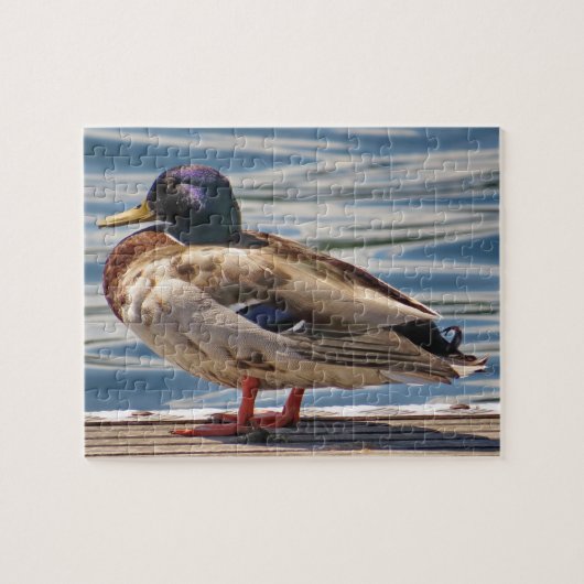 Duck by the Zee Legpuzzel (Horizontaal)