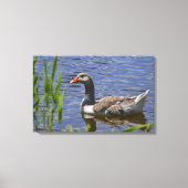 Duck Canvas (Voorkant)