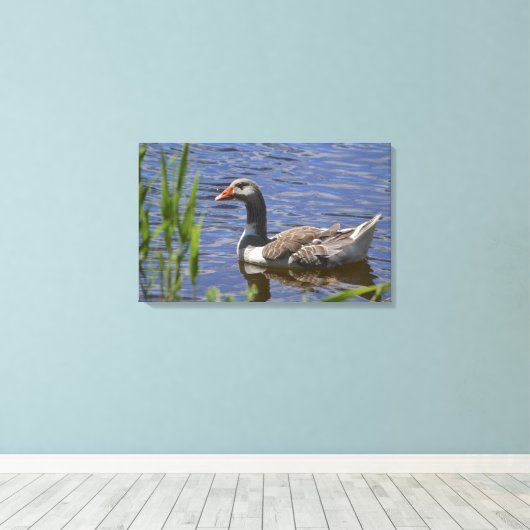 Duck Canvas (Insitu (Houten vloer))