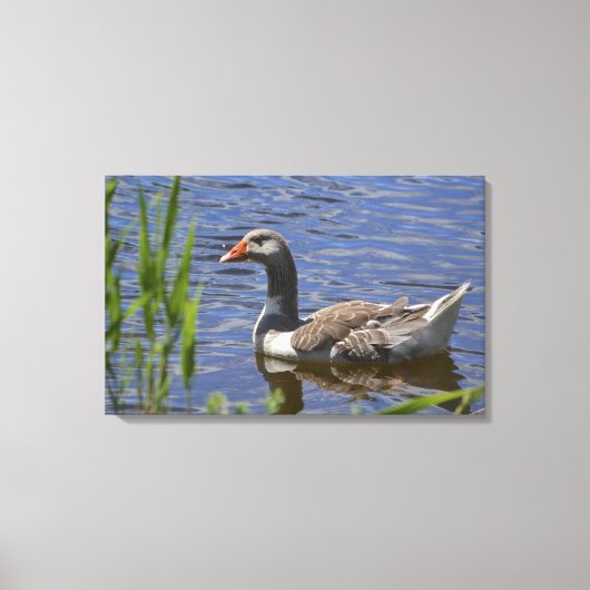 Duck Canvas Afdruk (Voorkant)