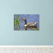 Duck Canvas Afdruk (Insitu (Houten vloer))