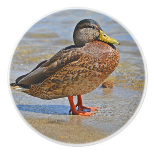 Duck Ceramic Knob. Keramische Knop