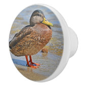 Duck Ceramic Knob. Keramische Knop (Rechts)