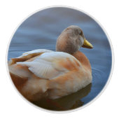 Duck Ceramic Knob. Keramische Knop (Voorkant)