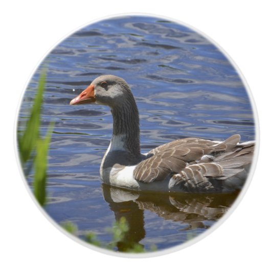 Duck Ceramic Knob. Keramische Knop (Voorkant)