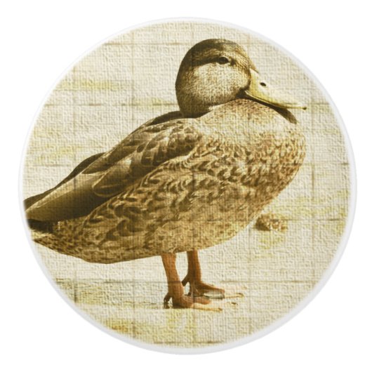 Duck Ceramic Knob. Keramische Knop (Voorkant)