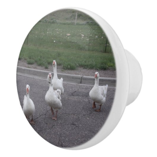 Duck Ceramic Knob. Keramische Knop (Rechts)