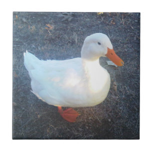 Duck Ceramic Tegel Tegeltje