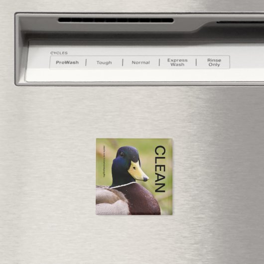 Duck Clean Vuil Vaatwasser Magneet (Insitu (Vaatwasser))