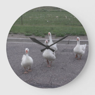 Duck Clock Grote Klok