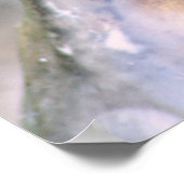 Duck Close-up afdrukken Poster (Hoek)