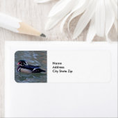 Duck Colorful Waterfowl Etiket (Insitu)