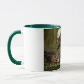 Duck Convention Mok (Links)