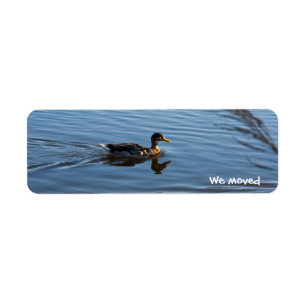 Duck dat we etiketten hebben verplaatst
