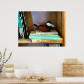 Duck Decoy on Bookshelf Poster (Keuken)