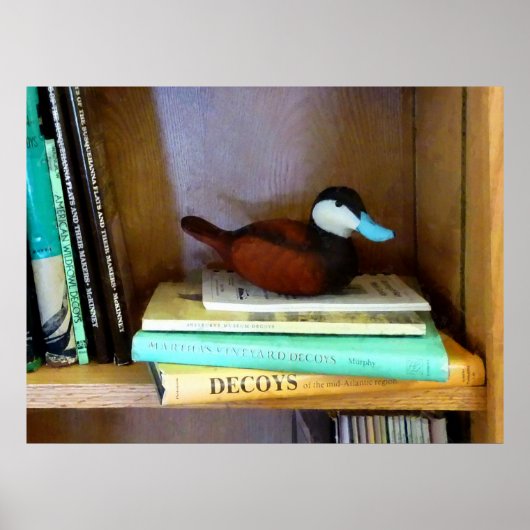 Duck Decoy on Bookshelf Poster (Voorkant)