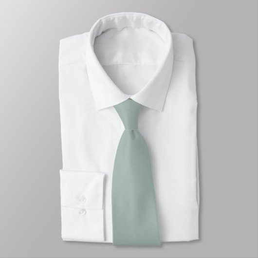 Duck Egg Bord Groen Effen Kleur Design Stropdas (Gebonden)