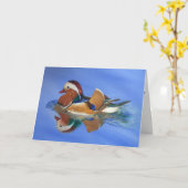 Duck - Elders - Dank u wel, bijbelse JW Kaart (Gele Bloem)