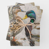 Duck en Mallard Wildlife Schilderij Decoupage Inpakpapier Vel (In situ)