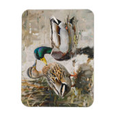Duck en Mallard Wildlife Schilderij Flexibel Magneet (Verticaal)