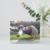 "Duck Encounter" Briefkaart (Staand voorkant)