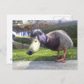"Duck Encounter" Briefkaart (Voorkant / Achterkant)