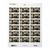 Duck Etiket (Full Sheet)