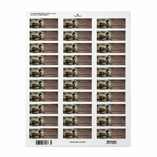 Duck Etiket (Full Sheet)