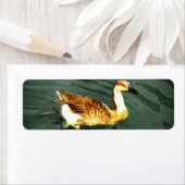 Duck Etiket (Insitu)