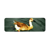 Duck Etiket (Voorkant)