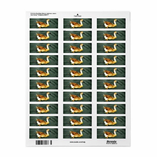 Duck Etiket (Full Sheet)