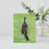 Duck Family Briefkaart (Staand voorkant)