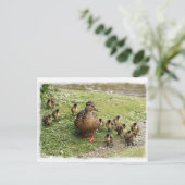 Duck Family Briefkaart (Staand voorkant)