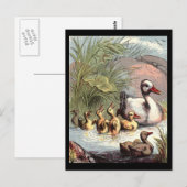 Duck Family Briefkaart (Voorkant / Achterkant)
