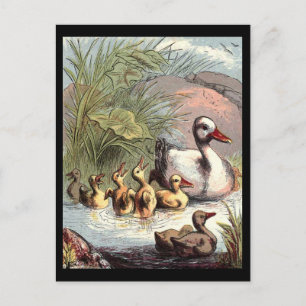 Duck Family Briefkaart