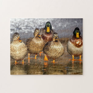 Duck Family Legpuzzel