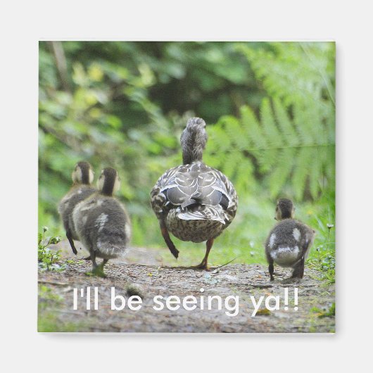 Duck Family Magneet (Voorkant)