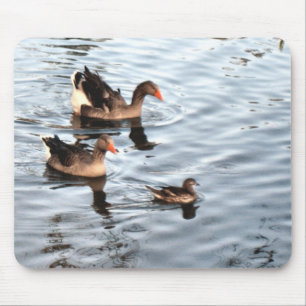 Duck Family Muismat