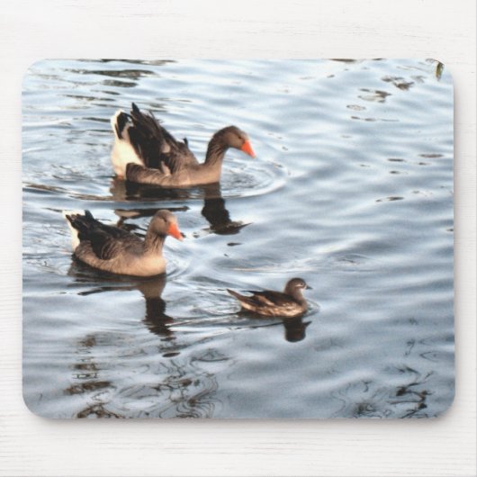 Duck Family Muismat (Voorkant)