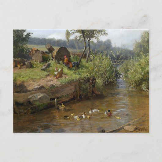 Duck Family op de Weir Carl Jutz Briefkaart (Voorkant)