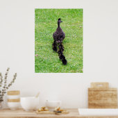 Duck Family Poster (Keuken)